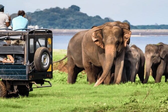 9 Days Guided Tour Through Sri Lanka - Day 1: A gentle arrival in Negombo