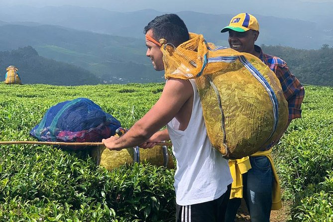 A Day in Nuwara Eliya: Sights & Local Delights - Galway’s Land National Park and Horton Plains