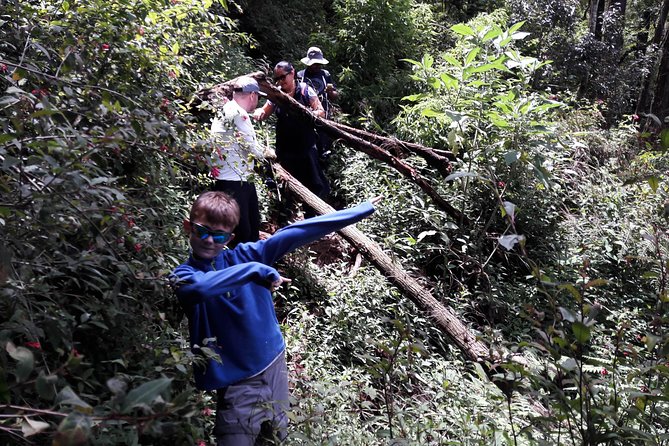 A Day in Nuwara Eliya: Sights & Local Delights - Birdwatching with a local naturalist