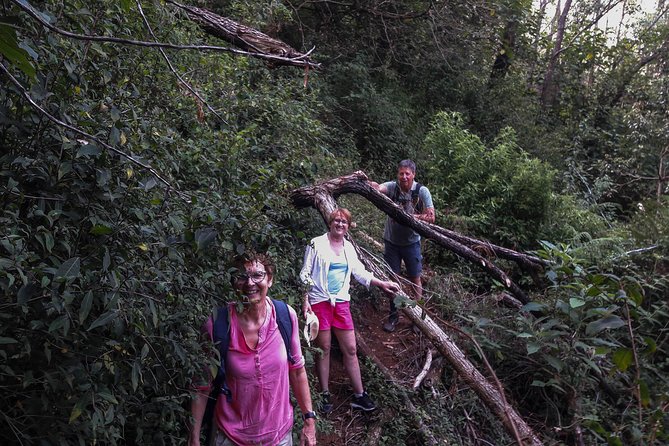 A Day in Nuwara Eliya: Sights & Local Delights - What the five-hour schedule really means