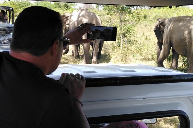 A Udawalawa Park safari, Tour from Colombo/Galle- (All inclusive) - Why Udawalawe works for a one-day safari