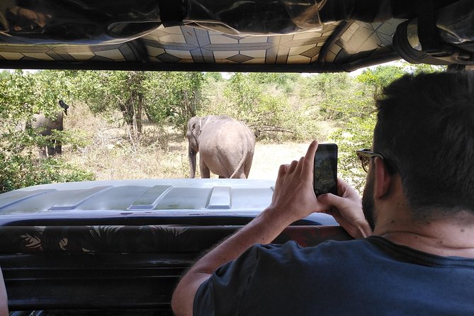 A Udawalawa Park safari, Tour from Colombo/Galle- (All inclusive) - The private 4WD makes a difference