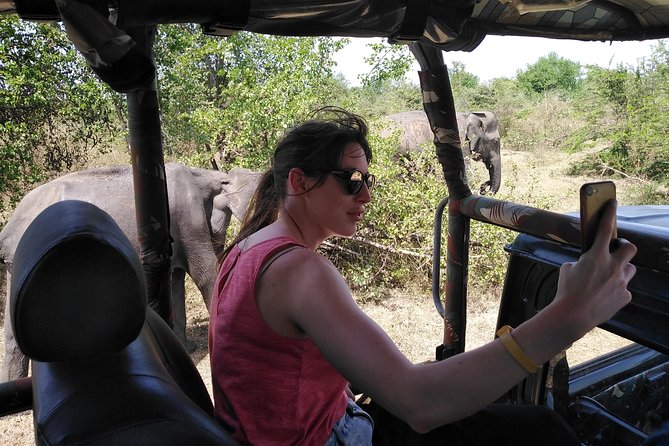 A Udawalawa Park safari, Tour from Colombo/Galle- (All inclusive) - What the day feels like in practice