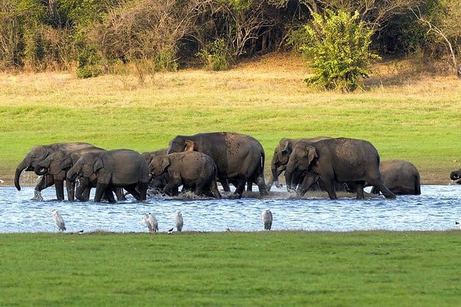 Adventure safari Experience in Hurulu Eco Park, Sri Lanka - Timing, opening hours, and weather