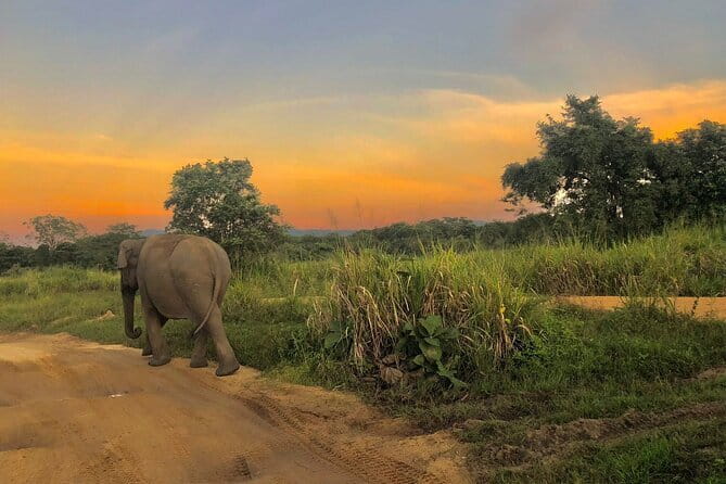 Adventure safari Experience in Hurulu Eco Park, Sri Lanka - Shen, Chamita, and the guide-led experience