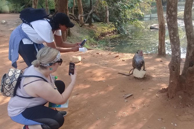 Adventure trincomalee to sigiriya and wild safari ,village tour - Minneriya or Kaudulla: choosing the safari park