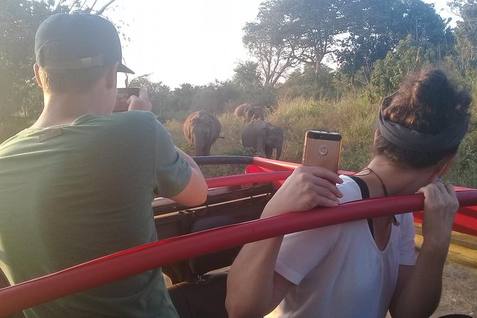 Adventure trincomalee to sigiriya and wild safari ,village tour - What the private guide adds to the day