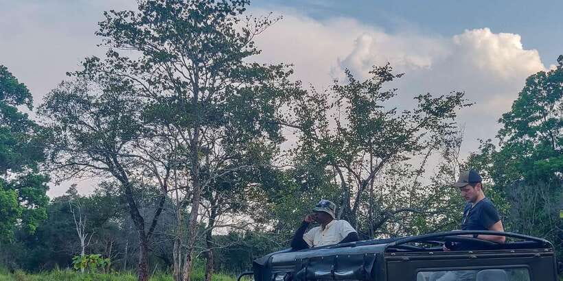 Ahangama: Udawalawe National Park Safari with Hotel Pickup - Key points at a glance