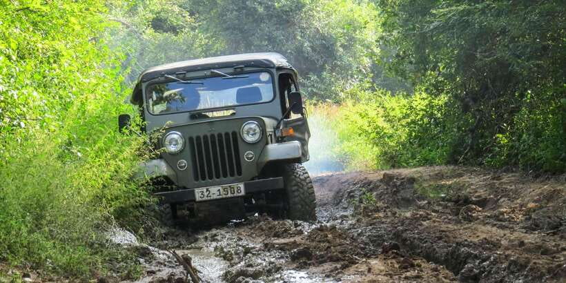 Ahangama: Udawalawe National Park Safari with Hotel Pickup - Changing from car to safari jeep