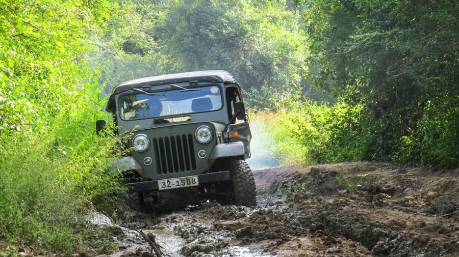 Ahangama: Udawalawe National Park Safari with Hotel Pickup - Comfort, group size, and practical limits