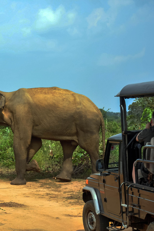 Ahangama: Udawalawe National Park Safari with Hotel Pickup - Booking details worth checking