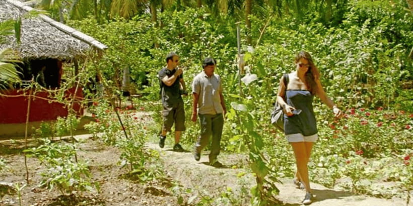 All-Inclusive Dambulla Village Tour with Traditional Lunch - Walking through the paddy fields