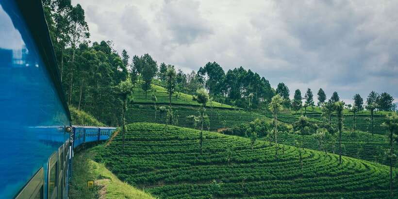 All Inclusive Ella From/To Kandy Scenic Train Journey - First-class seating is reserved, but not fully customizable