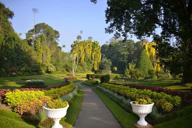 All Inclusive Kandy Private Day Tour From Colombo and Negombo - Spice gardens and local products