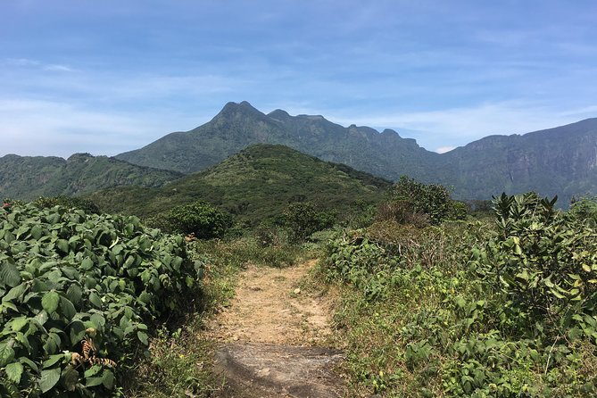 All Inclusive Knuckles Day Track With Accommodation - Key points before you book