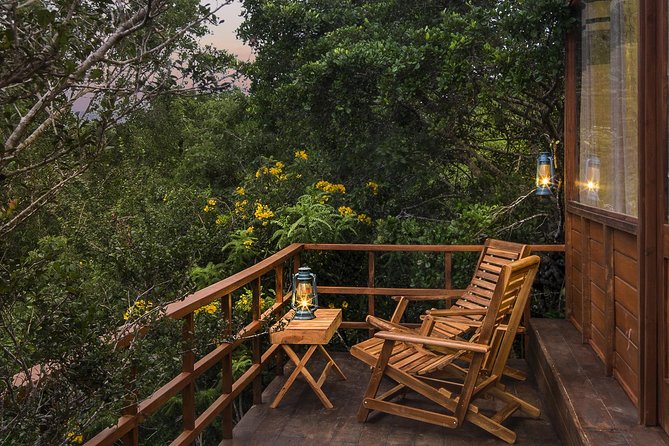 All Inclusive Leopard Nest Treehouse Safari in Yala - The road from Colombo to Yala