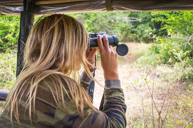 All Inclusive Leopard Nest Treehouse Safari in Yala - The afternoon safari in Yala National Park