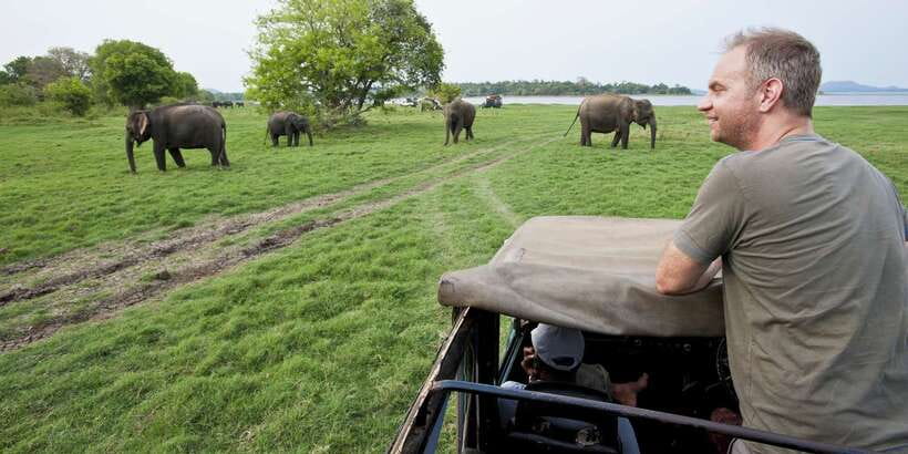 All-Inclusive Minneriya National Park Afternoon Safari - Three hours inside an 8,889-hectare park