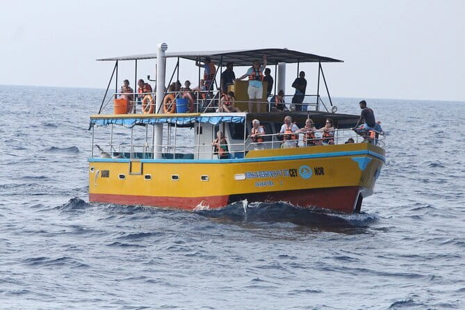 All Inclusive Mirissa Whale and Dolphin Watching Boat Ride - Key points to know before you book
