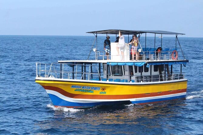 All Inclusive Mirissa Whale and Dolphin Watching Boat Ride - Looking for whales in their own habitat