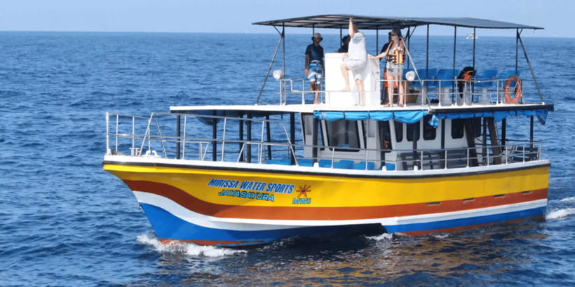 All Inclusive Mirissa Whale & Dolphin Watching + Snorkeling - Before sunrise in Mirissa