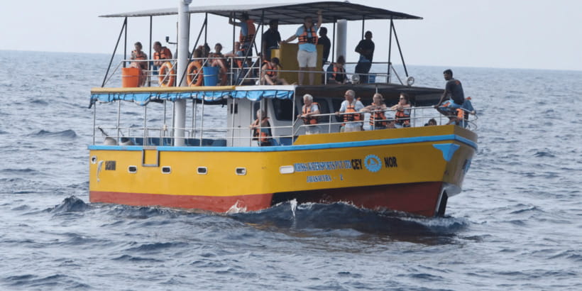 All Inclusive Mirissa Whale & Dolphin Watching + Snorkeling - Rough seas and the limits of the plan