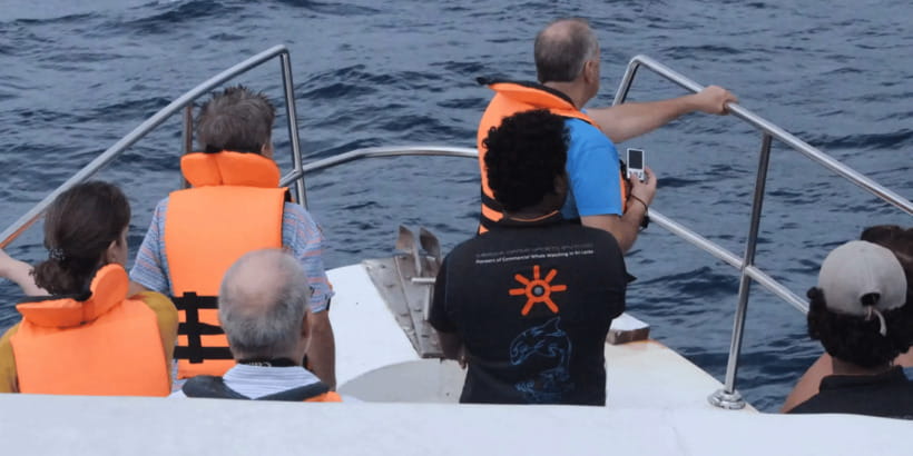 All Inclusive Mirissa Whale & Dolphin Watching + Snorkeling - Booking details that matter