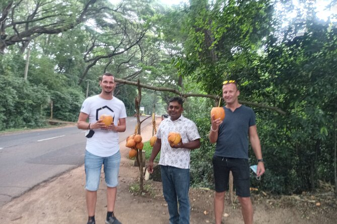 All inclusive Private day trip Sigiriya and Dambulla caves with more - Lunch is separate, with a local buffet option