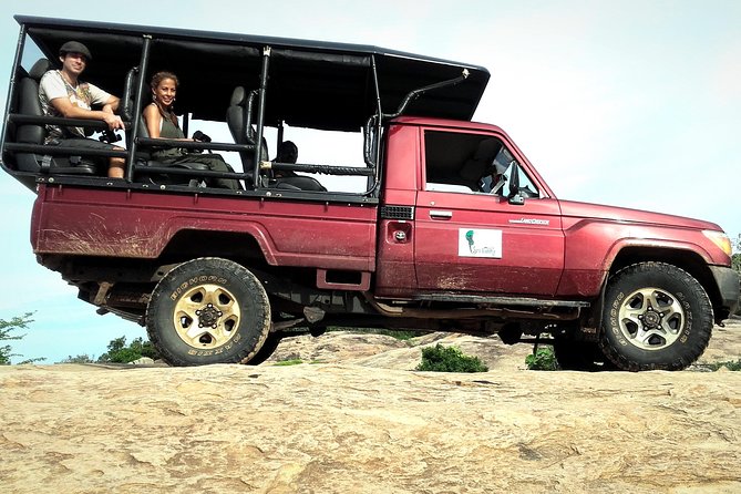 All Inclusive Private Full Day Safari in Yala National Park with Lunch - Lunch with Sri Lankan food, fruit, and drinks