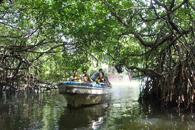 All-Inclusive Private tour in Sri Lankan Island 9 Day HB hotels - From elephants to Pidurangala on day two