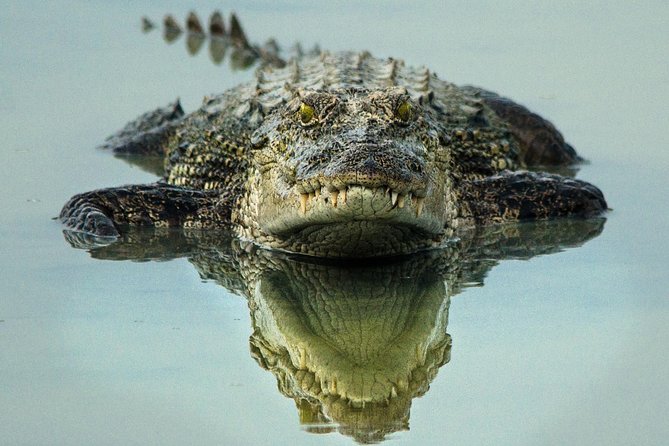All Inclusive Wilpattu National Park Day Tour From Anuradhapura - What lunch adds to the outing