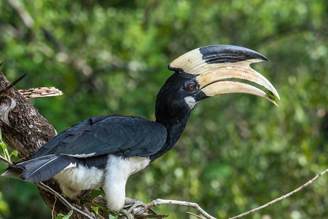 All Inclusive Wilpattu National Park Day Tour From Anuradhapura - The seven-hour rhythm