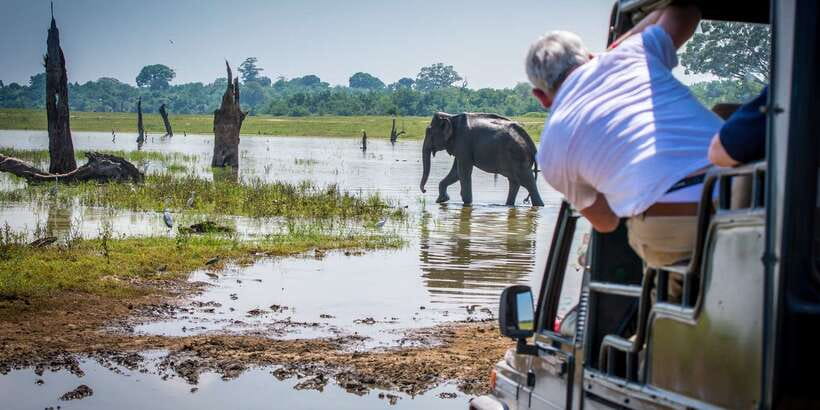 All inclussive Udawalawa National Park Safari From Colombo - What the $225 price really covers