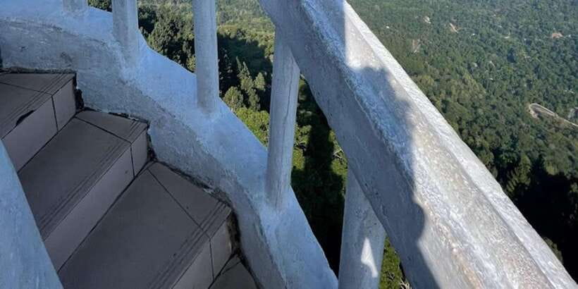 Ambuluwawa Tower & Pinnawala & Kandy Day Tour From Colombo - Peradeniya and the Royal Botanical Garden