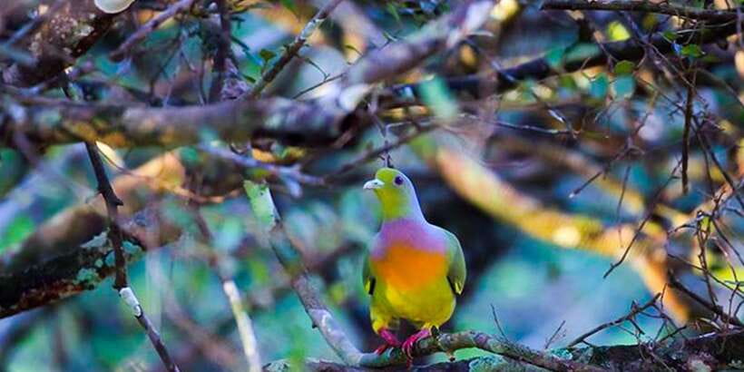 Anuradhapura: Full-Day Wilpattu All Inclusive Private Safari - Leaving Anuradhapura for a Full-Day Safari