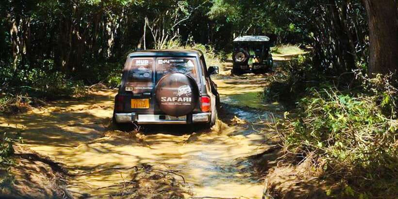 Anuradhapura: Full-Day Wilpattu All Inclusive Private Safari - Breakfast, Picnic Lunch, and the Long Middle of the Day