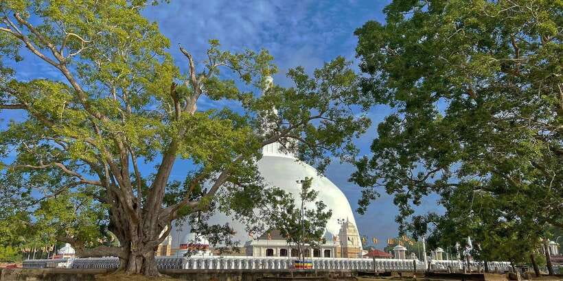 Anuradhapura Private Ancient City Day Tour - Why a private tuk tuk works well in Anuradhapura