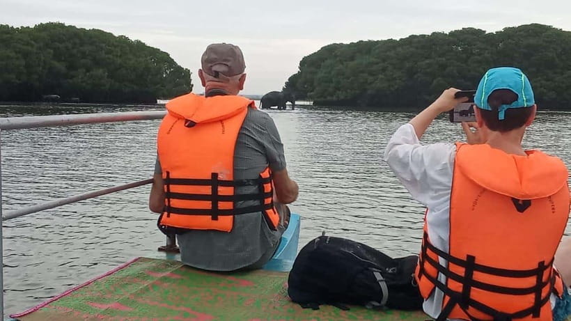 Arugam Bay: Lagoon Boat safari with Safety Measures - Watching elephants from the water’s edge