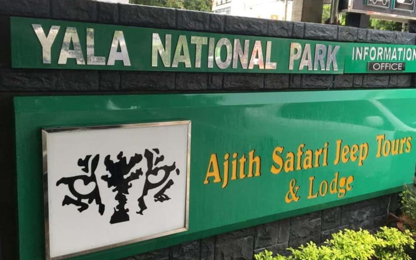 Arugam Bay: Yala Safari & DropOff in Ella - Safari + Transit - From Yala to the hills of Ella