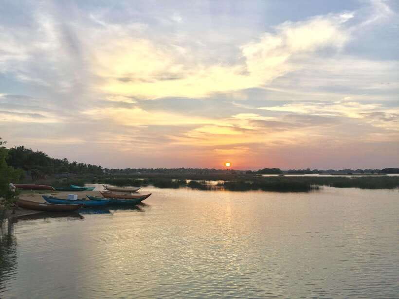 Arugambay :Pottuvil Lagoon Mangrove Eco Boat Safari Tours - The chance to see wild elephants in the lagoon