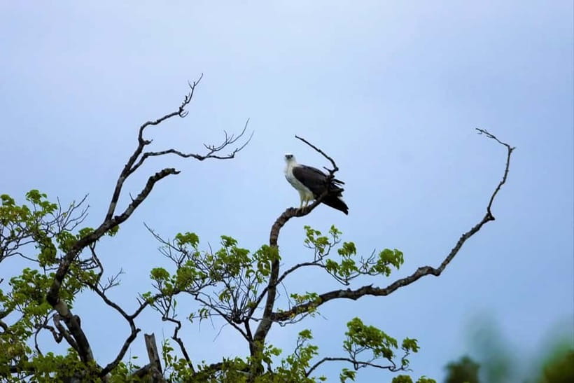 Arugambay :Pottuvil Lagoon Mangrove Eco Boat Safari Tours - Sunrise, sunset, and the question of timing