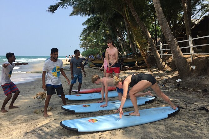 Beginner Surf Lesson in Arugam Bay - Learning to surf in Arugam Bay