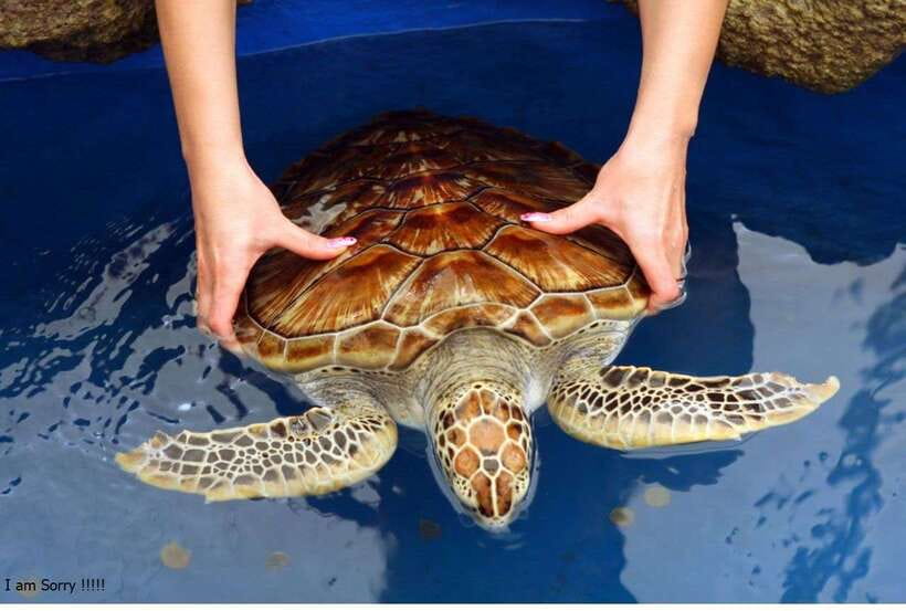 Bentota: All Inclusive Galle Dutch Fort & Madu River Safari - Three sides of Sri Lanka in eight hours
