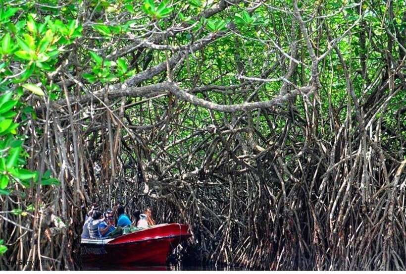 Bentota: All Inclusive Galle Dutch Fort & Madu River Safari - Should you book the Galle Fort and Madu River day?
