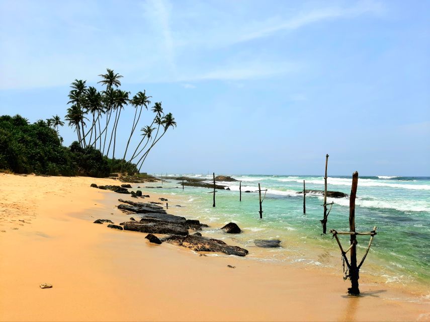 Bentota beach, River Mangroves lagoon, Wildlife Tour - Who will enjoy this most