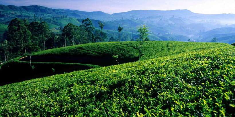 Bentota/Kalutara/Hikkaduwa/Galle/Mirissa: Day Trip to Ella - Why this Ella day trip makes sense from the coast
