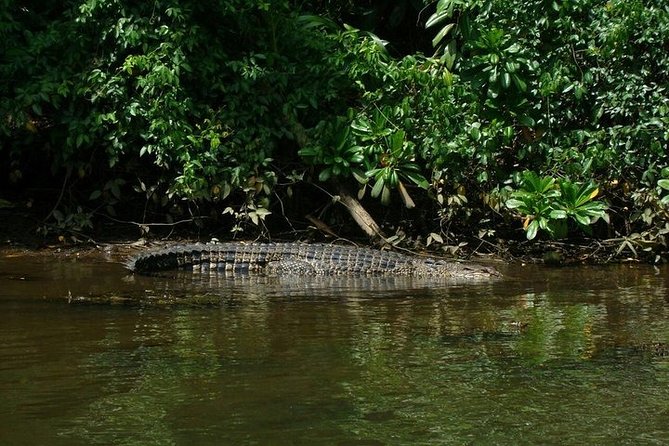 Bentota River Boat Safari with Private Boat Beruwala/Bentota/Kosgoda/Ahungalla - What the private setup really gives you