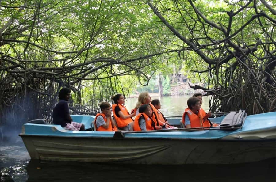 Bentota River Safari -Ahungalla/Bentota/Aluthgama/Kosgoda - What the two-hour boat ride is really like