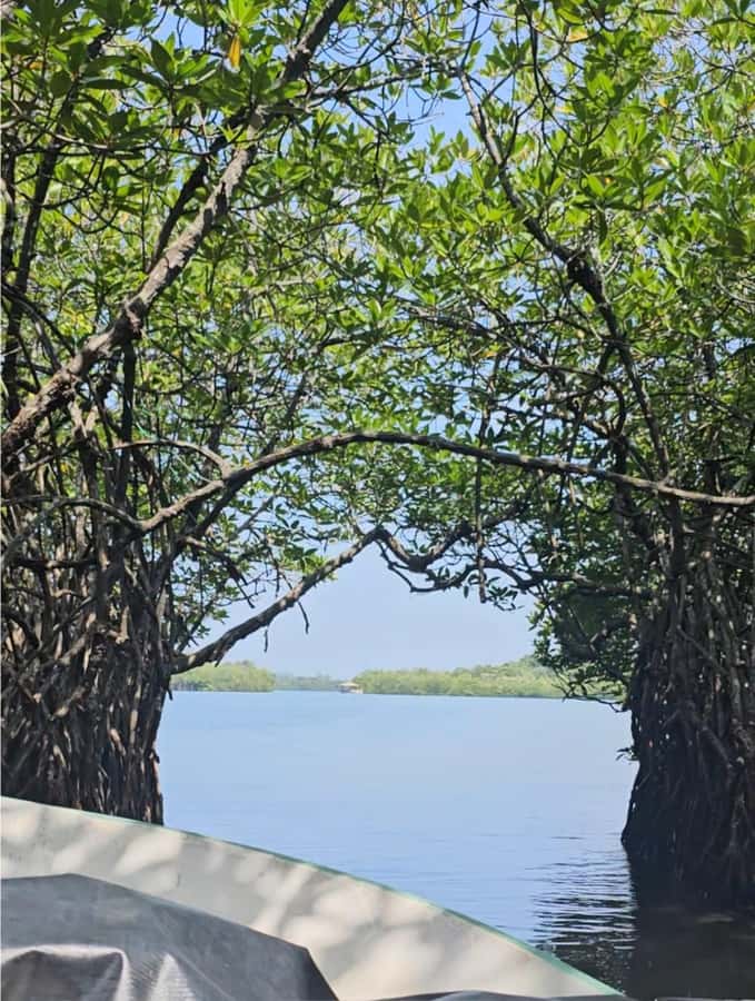 Bentota River Safari -Ahungalla/Bentota/Aluthgama/Kosgoda - Why the private format changes the value