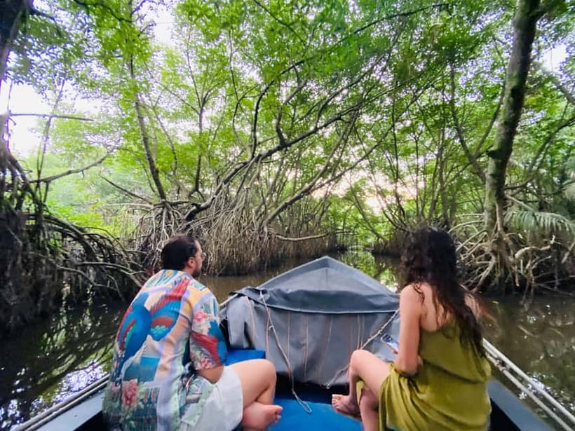 Bentota River Safari: Discover Wildlife & Mangroves by Boat - Crocodiles, monitors, monkeys, and bats